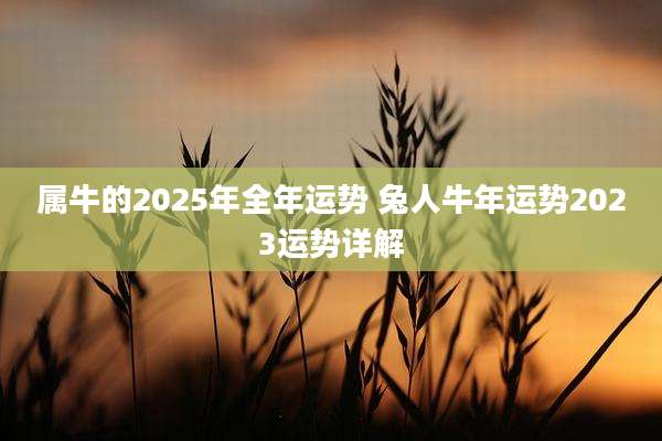 属牛的2025年全年运势 兔人牛年运势2023运势详解