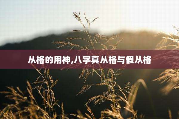 从格的用神,八字真从格与假从格