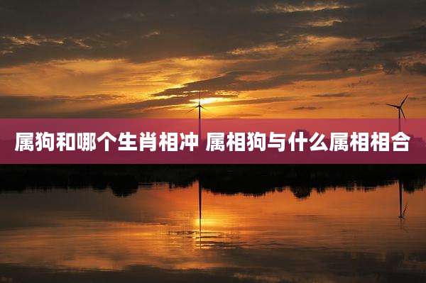 属狗和哪个生肖相冲 属相狗与什么属相相合