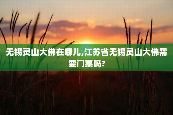 无锡灵山大佛在哪儿,江苏省无锡灵山大佛需要门票吗?