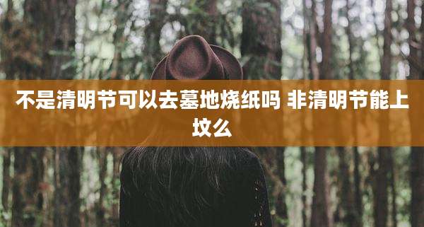 不是清明节可以去墓地烧纸吗 非清明节能上坟么