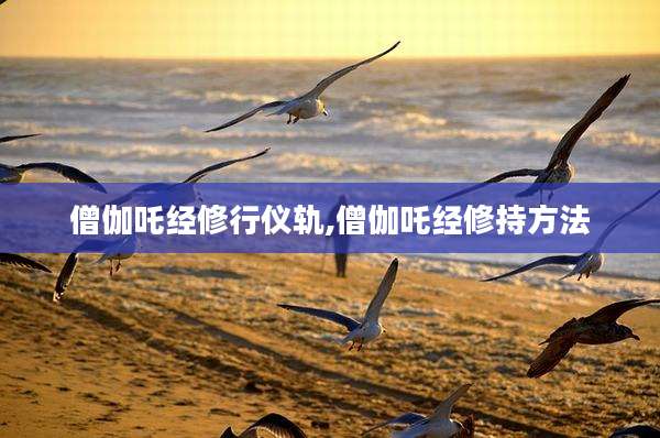 僧伽吒经修行仪轨,僧伽吒经修持方法