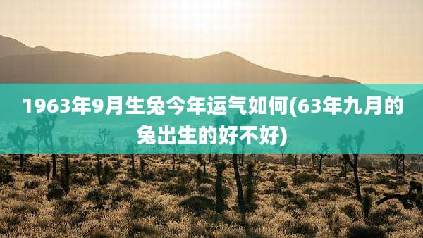 1963年9月生兔今年运气如何(63年九月的兔出生的好不好)