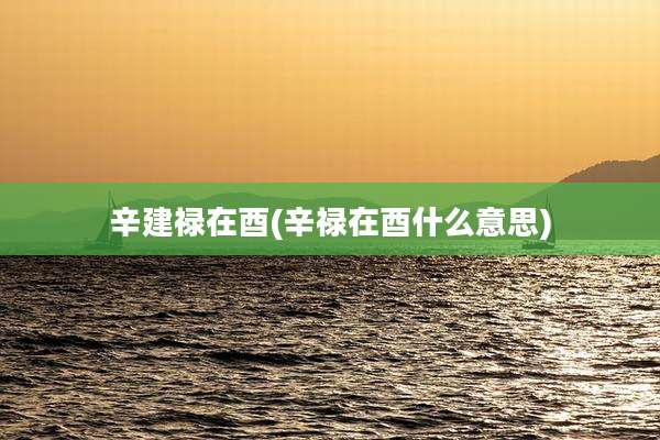 辛建禄在酉(辛禄在酉什么意思)
