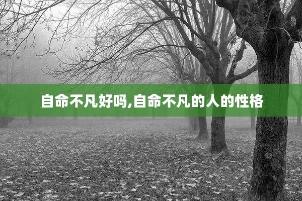 自命不凡好吗,自命不凡的人的性格