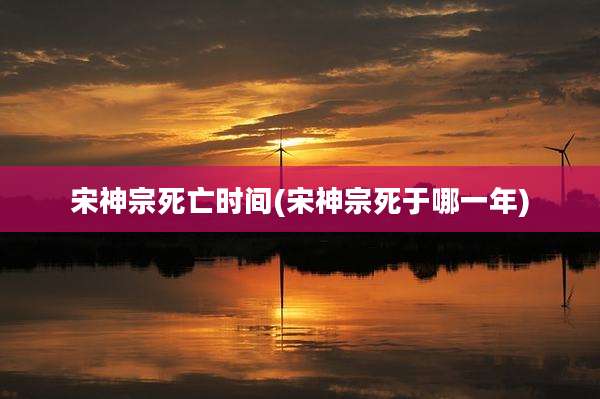 宋神宗死亡时间(宋神宗死于哪一年)