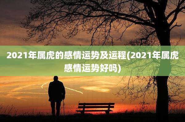 2021年属虎的感情运势及运程(2021年属虎感情运势好吗)