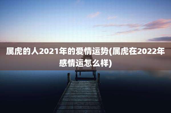 属虎的人2021年的爱情运势(属虎在2022年感情运怎么样)