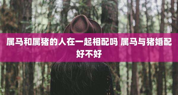 属马和属猪的人在一起相配吗 属马与猪婚配好不好