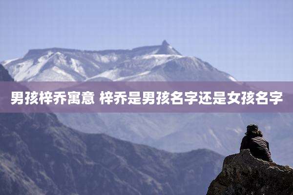 男孩梓乔寓意 梓乔是男孩名字还是女孩名字