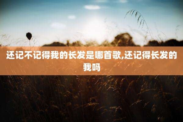 还记不记得我的长发是哪首歌,还记得长发的我吗