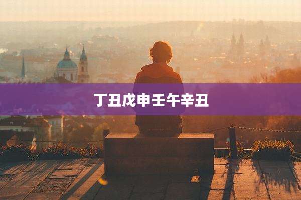 丁丑戊申壬午辛丑