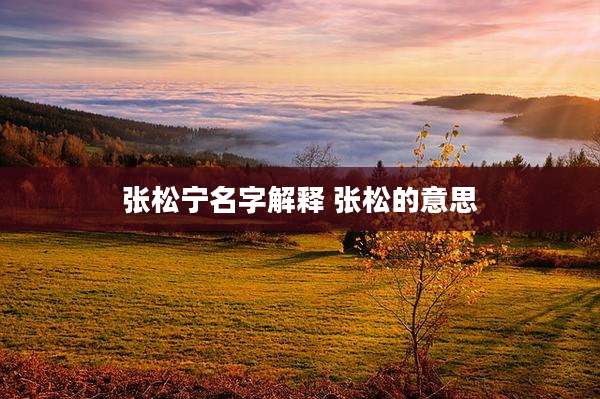 张松宁名字解释 张松的意思