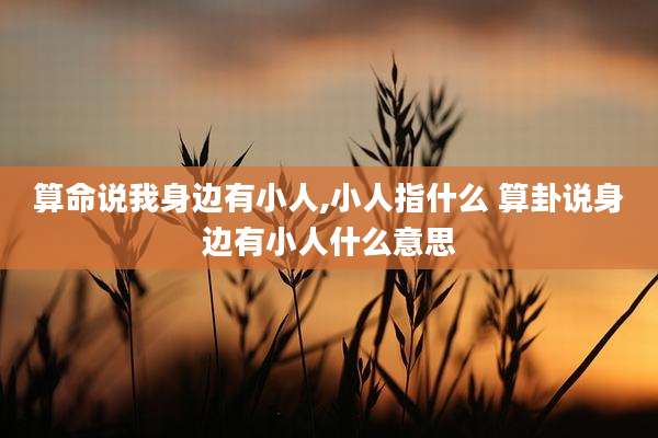 算命说我身边有小人,小人指什么 算卦说身边有小人什么意思