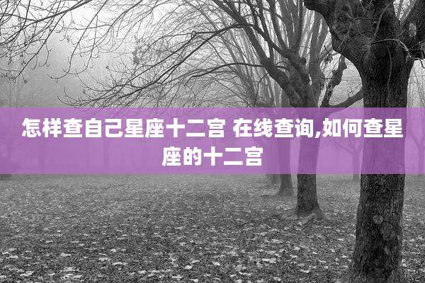 怎样查自己星座十二宫 在线查询,如何查星座的十二宫