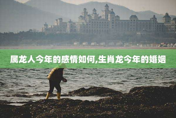 属龙人今年的感情如何,生肖龙今年的婚姻