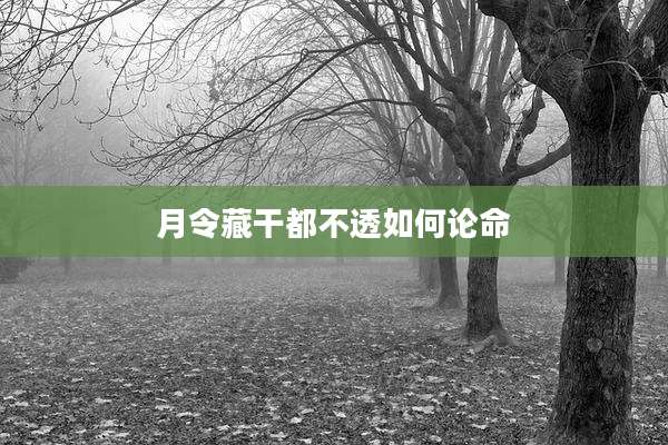月令藏干都不透如何论命