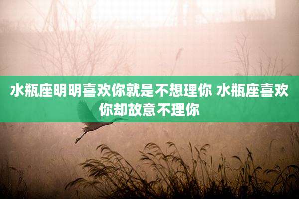 水瓶座明明喜欢你就是不想理你 水瓶座喜欢你却故意不理你