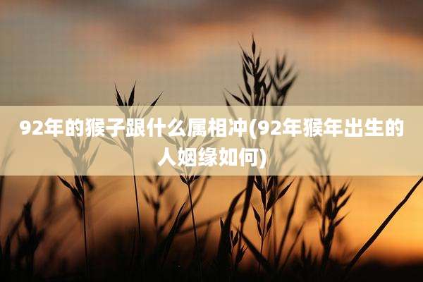 92年的猴子跟什么属相冲(92年猴年出生的人姻缘如何)