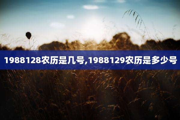 1988128农历是几号,1988129农历是多少号