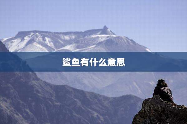 鲨鱼有什么意思