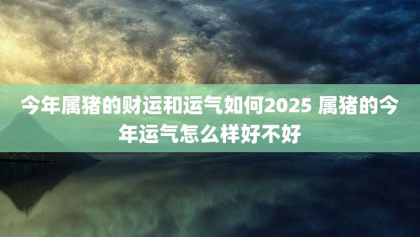 今年属猪的财运和运气如何2025 属猪的今年运气怎么样好不好