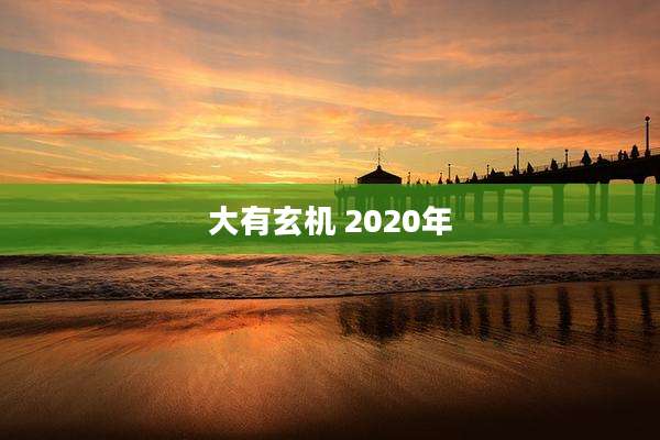 大有玄机 2020年