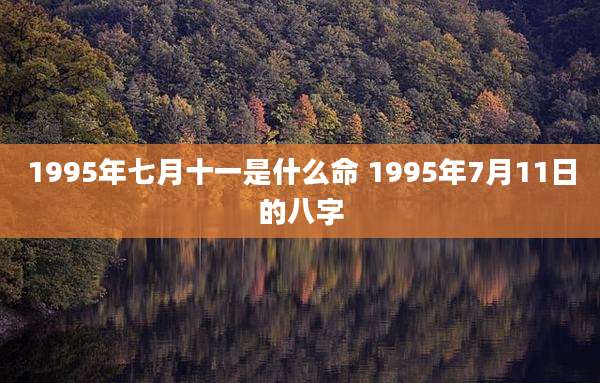 1995年七月十一是什么命 1995年7月11日的八字