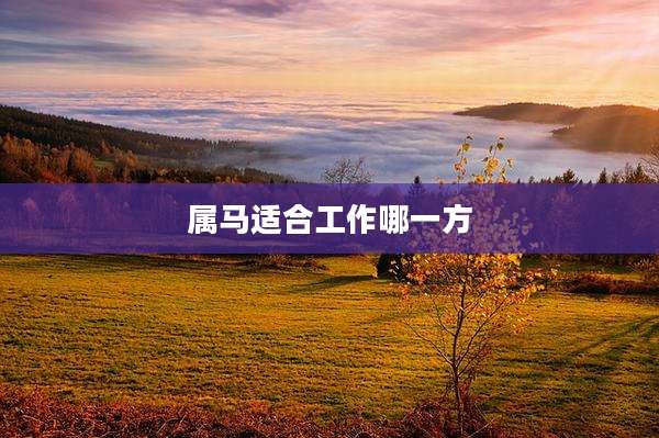 属马适合工作哪一方