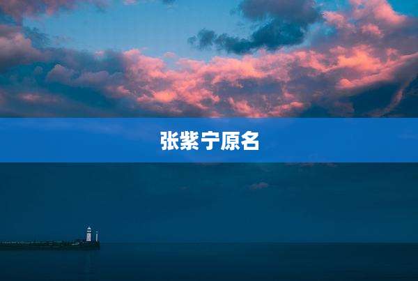 张紫宁原名