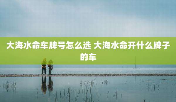 大海水命车牌号怎么选 大海水命开什么牌子的车