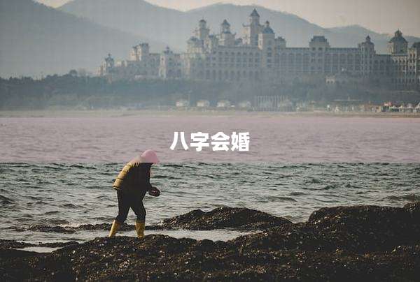 八字会婚