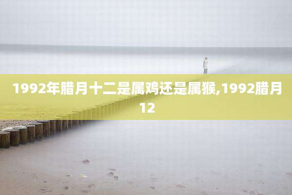 1992年腊月十二是属鸡还是属猴,1992腊月12