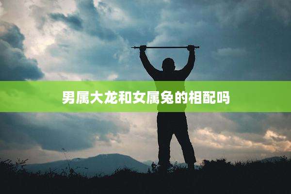 男属大龙和女属兔的相配吗