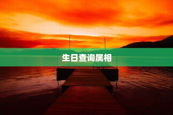 生日查询属相