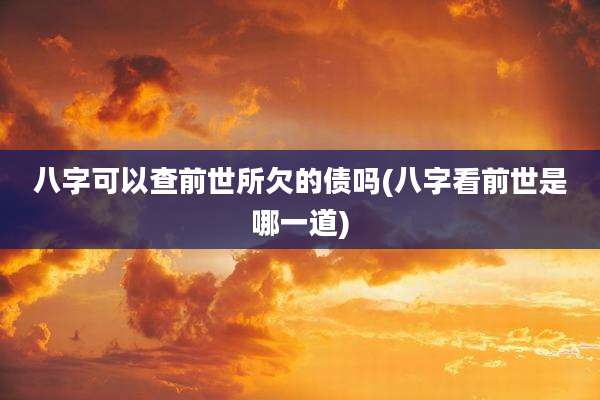 八字可以查前世所欠的债吗(八字看前世是哪一道)