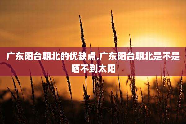 广东阳台朝北的优缺点,广东阳台朝北是不是晒不到太阳