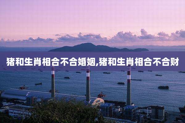 猪和生肖相合不合婚姻,猪和生肖相合不合财