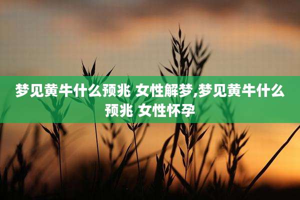 梦见黄牛什么预兆 女性解梦,梦见黄牛什么预兆 女性怀孕