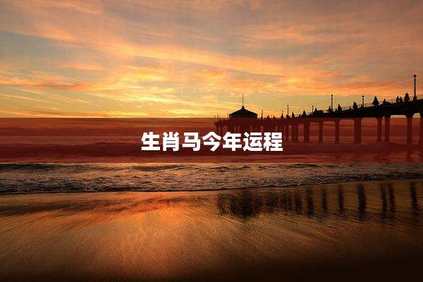 生肖马今年运程