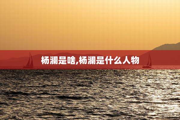杨澜是啥,杨澜是什么人物
