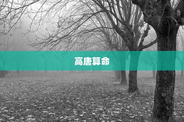 高唐算命