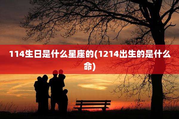 114生日是什么星座的(1214出生的是什么命)