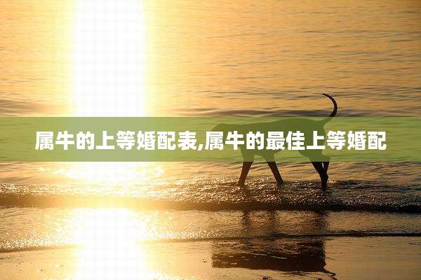 属牛的上等婚配表,属牛的最佳上等婚配