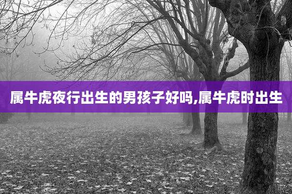 属牛虎夜行出生的男孩子好吗,属牛虎时出生