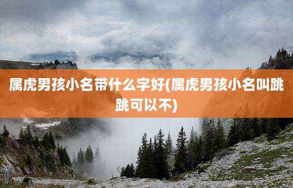 属虎男孩小名带什么字好(属虎男孩小名叫跳跳可以不)