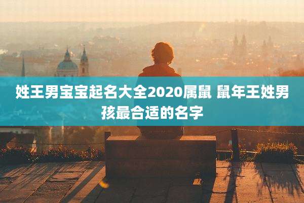 姓王男宝宝起名大全2020属鼠 鼠年王姓男孩最合适的名字