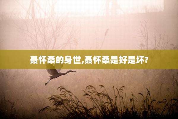 聂怀桑的身世,聂怀桑是好是坏?