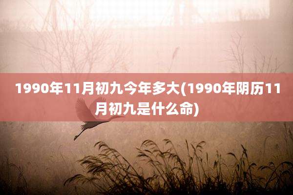 1990年11月初九今年多大(1990年阴历11月初九是什么命)