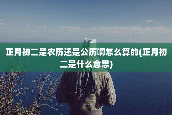 正月初二是农历还是公历啊怎么算的(正月初二是什么意思)